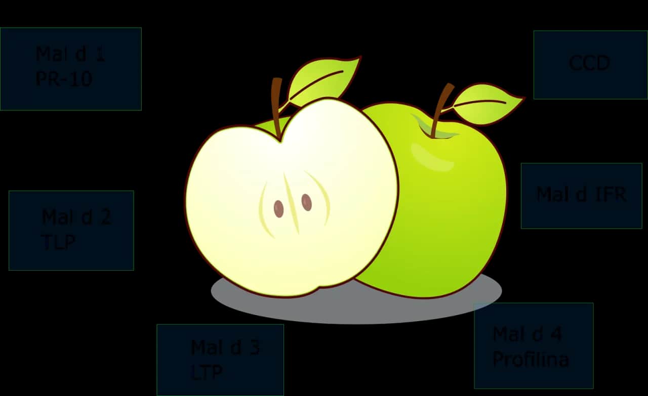 Alergia na jabłko u niemowląt: Jak rozpoznać i bezpiecznie podać?